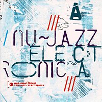Různí interpreti – What about Finland - Nu Jazz / Electronica