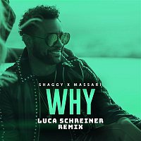 Shaggy & Massari – Why (Luca Schreiner Remix)