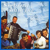 Ansambel bratov Avsenik – Srebrne smučine