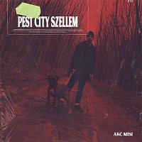 AKC Misi – Pest City Szellem