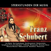 Přední strana obalu CD Sternstunden der Musik: Franz Schubert