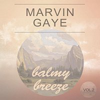 Marvin Gaye – Balmy Breeze Vol. 2