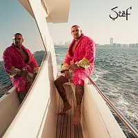 Kizo, ClearMind – SZEF