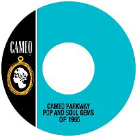 Různí interpreti – Cameo Parkway Pop And Soul Gems Of 1965