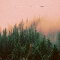 Benjamin Lander – Spandauer Forst