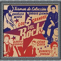 Various  Artists – Tesoros De Colección - Los 5 Grandes del Rock