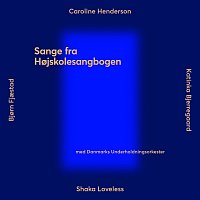 Danmarks Underholdningsorkester – Sange fra Hojskolesangbogen