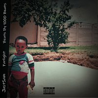 Přední strana obalu CD FARLIGHT