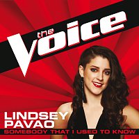 Lindsey Pavao – Somebody That I Used To Know [The Voice Performance]