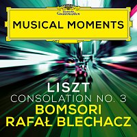 Bomsori, Rafał Blechacz – Liszt: Consolations, S. 172: No. 3 Lento placido in D Flat Major (Transcr. Milstein for Violin and Piano) [Musical Moments]