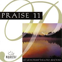 Přední strana obalu CD Praise 11 - Let Us Worship Lord Jehovah