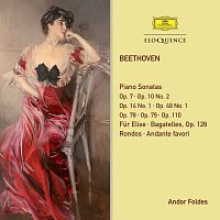 Přední strana obalu CD Beethoven: Piano Sonatas & Variations