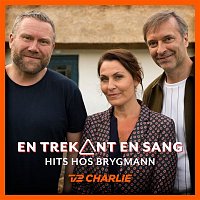 En Trekant En Sang 2 - Hits Hos Brygmann