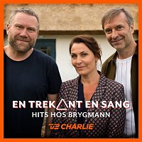 Various  Artists – En Trekant En Sang 2 - Hits Hos Brygmann