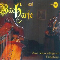 Anna Zauner-Pagitsch – Bachharfe