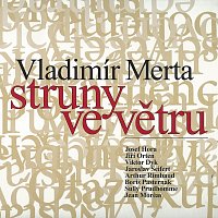 Vladimír Merta – Struny ve větru FLAC