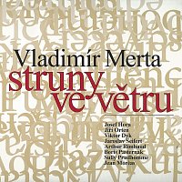 Vladimír Merta – Struny ve větru