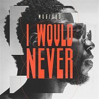Přední strana obalu CD I Would Never