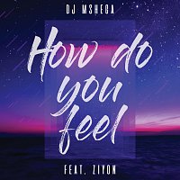 DJ Mshega, Ziyon – How Do You Feel