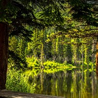 Přední strana obalu CD Duchess by Decision