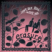 Erasure – Don't Say You Love Me