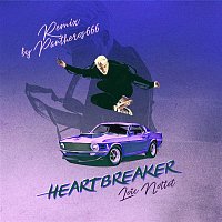 Loic Nottet – Heartbreaker (Panteros666 Remix)