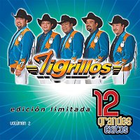 Los Tigrillos – 12 Grandes exitos Vol. 1