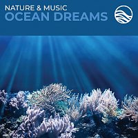 David Arkenstone – Nature & Music: Ocean Dreams