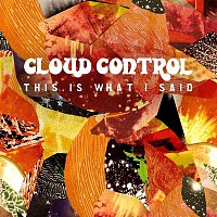 Cloud Control – This Is What I Said