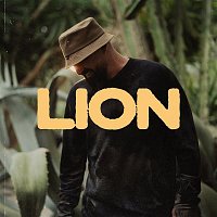 Přední strana obalu CD Lion