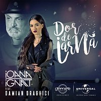 Ioana Ignat, Damian Draghici – Dor de iarnă