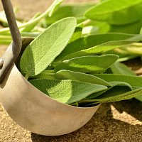 All the Properties of Sage
