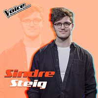 Sindre Steig – Resolution [Fra TV-Programmet "The Voice"]