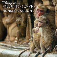 Disneynature Soundscapes: Monkey Kingdom