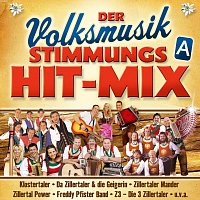Různí interpreti – Der Volksmusik Stimmungs Hit-Mix - A
