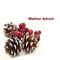 Die Bergsaitig'n, Die Sunnseitigen, Kammerchor Choropax, Wattenberger Stubenmusik – Wattner Advent