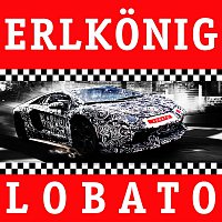 Přední strana obalu CD Erlkönig
