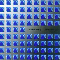 Achim Tang – In the long run