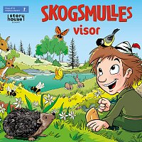 Přední strana obalu CD Skogsmulles visor