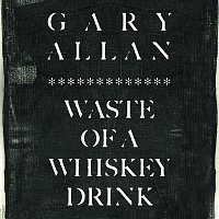 Gary Allan – Waste Of A Whiskey Drink