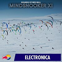 Přední strana obalu CD Mindsnooker XI