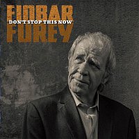 Finbar Furey – Don't Stop This Now