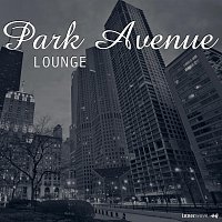 Různí interpreti – Park Avenue Lounge
