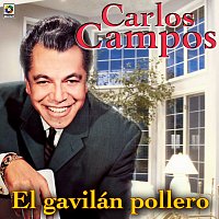 Carlos Campos – El Gavilán Pollero