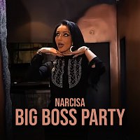 Narcisa – Big Boss Party