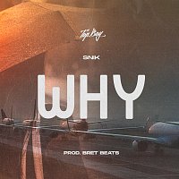SNIK – Why
