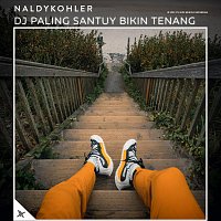 Naldykohler – DJ Paling Santuy Bikin Tenang