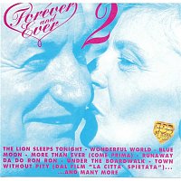 Přední strana obalu CD FOREVER AND EVER, Vol. 2