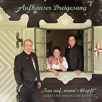 Přední strana obalu CD Tua auf, wann’s klopft - Lieder und Weisen zum Advent