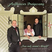 Aufhauser Dreigesang, Aschberger Stub’nmusi – Tua auf, wann’s klopft - Lieder und Weisen zum Advent